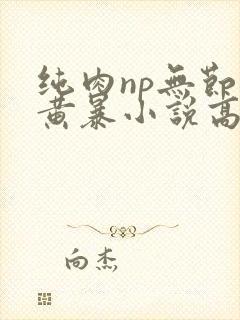 纯肉np无节操黄暴小说高h封面