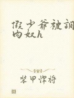 假少爷被调教成肉奴h