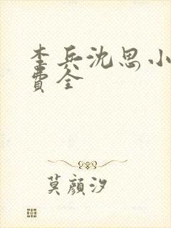 李兵沈思小说免费全