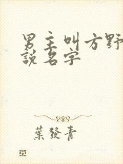 男主叫方野的小说名字