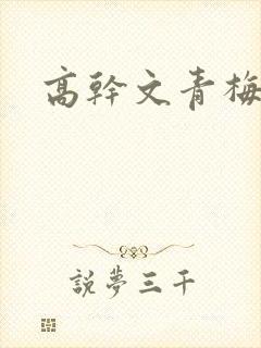 高干文青梅竹马