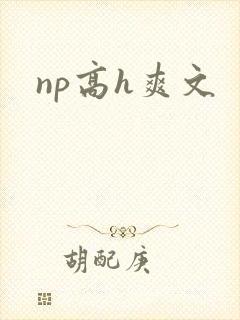 np高h爽文