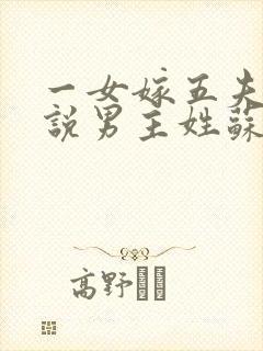 一女嫁五夫的小说男主姓苏