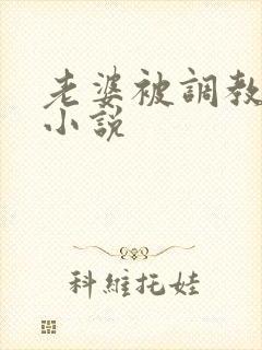 老婆被调教暴露小说封面