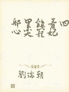 哪里能看四爷的心尖宠妃
