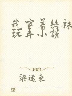 我穿着丝袜被人玩弄小说封面