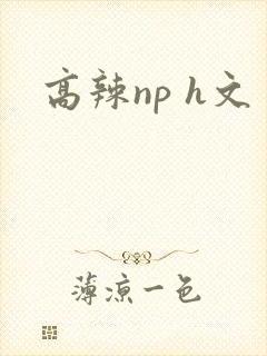 高辣np h文