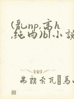 (乱np,高h,纯肉)bl小说