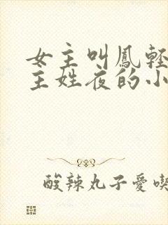 女主叫凤轻舞男主姓夜的小说