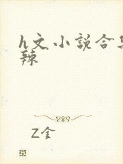 h文小说合集高辣