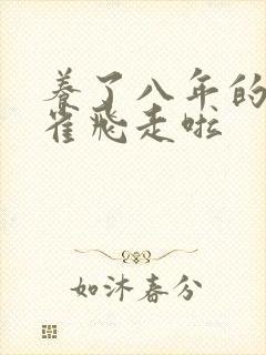 养了八年的金丝雀飞走啦