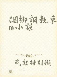 捆绑调教束缚sm小说