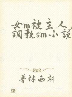女m被主人虐玩调教sm小说