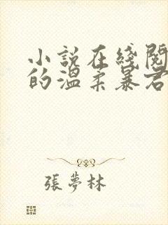 小说在线阅读我的温柔暴君