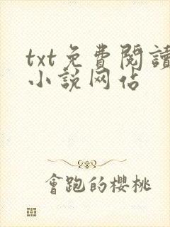 txt免费阅读小说网站封面