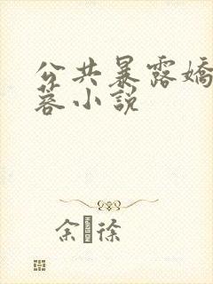 公共暴露娇妻静蓉小说