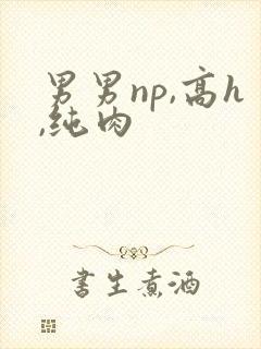 男男np,高h,纯肉