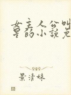 女主人公叫乔如星的小说免费阅读封面