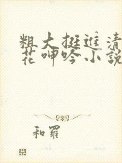 粗大挺进清纯校花呻吟小说