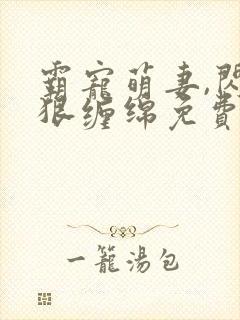 霸宠萌妻,闪婚狠缠绵免费阅读