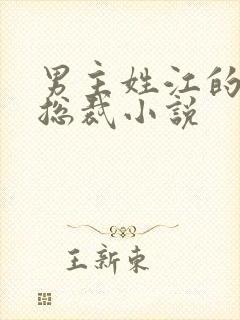 男主姓江的现代总裁小说