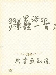 gay男浴spy裸体一百度