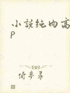 小说纯肉高hnp