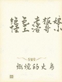 绝色老板娘林思佳王浩哥小说封面