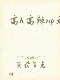 高h高辣np文