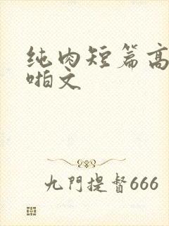 纯肉短篇高h啪啪文