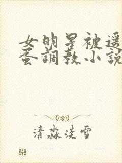 女明星被遥控跳蛋调教小说