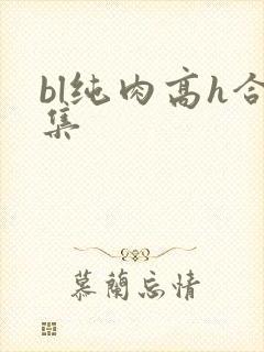 bl纯肉高h合集