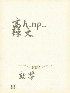 高h.np..辣文封面
