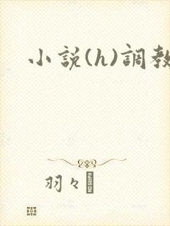 小说(h)调教