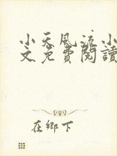 小天风流小说全文免费阅读无弹窗