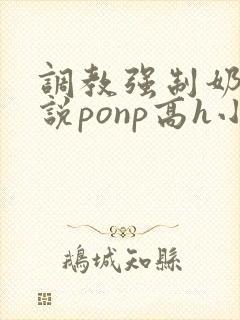 调教强制奶子小说ponp高h小说