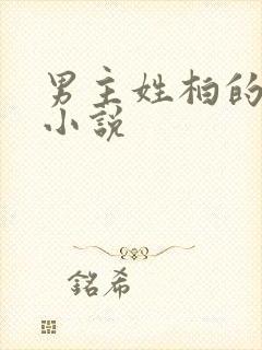 男主姓柏的总裁小说