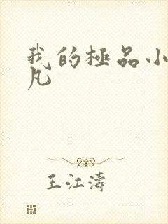 我的极品小姨叶凡