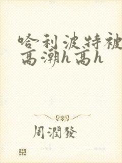 哈利波特被囚禁高潮h高h