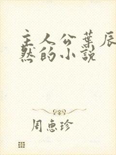 主人公叶辰萧初然的小说