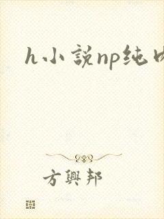 h小说np纯肉