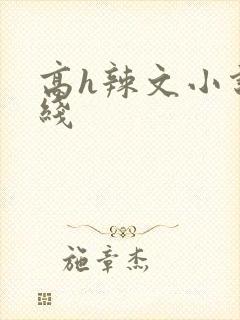 高h辣文小说在线