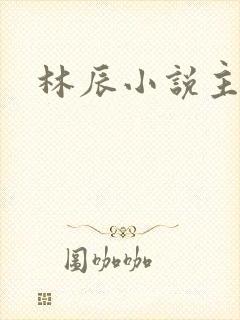 林辰小说主角