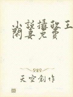 小说摄政王的小闲妻免费