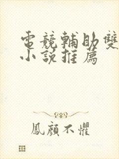 电竞辅助双男主小说推荐封面