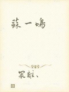 苏一鸣封面