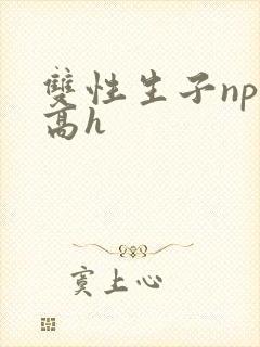 双性生子np肉高h
