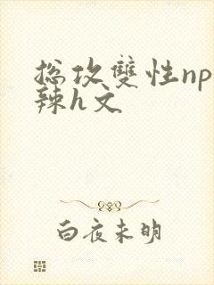 总攻双性np高辣h文