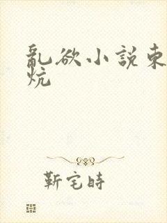 乱欲小说东北大炕