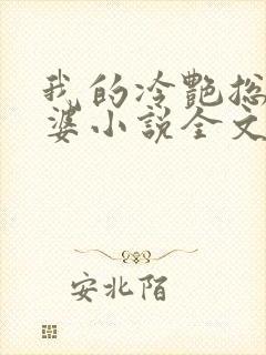 我的冷艳总裁老婆小说全文阅读